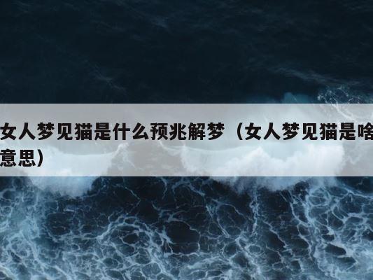 女人梦见猫是什么预兆解梦（女人梦见猫是啥意思） 第1张
