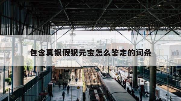 包含真银假银元宝怎么鉴定的词条 第1张