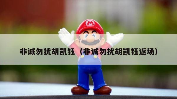 非诚勿扰胡凯钰（非诚勿扰胡凯钰返场） 第1张