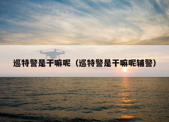 巡特警是干嘛呢（巡特警是干嘛呢辅警） 第1张
