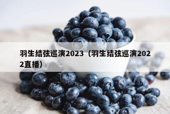羽生结弦巡演2023（羽生结弦巡演2022直播） 第1张