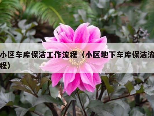 小区车库保洁工作流程（小区地下车库保洁流程） 第1张