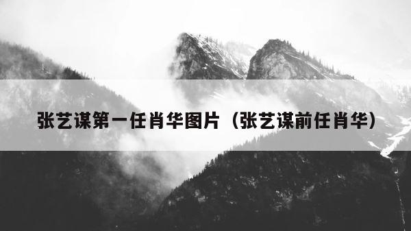 张艺谋第一任肖华图片（张艺谋前任肖华） 第1张