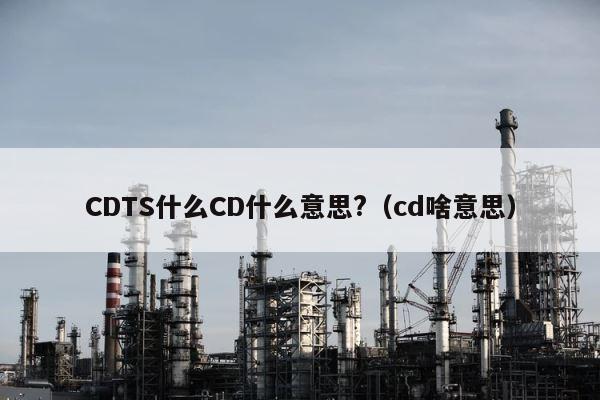 CDTS什么CD什么意思?（cd啥意思） 第1张