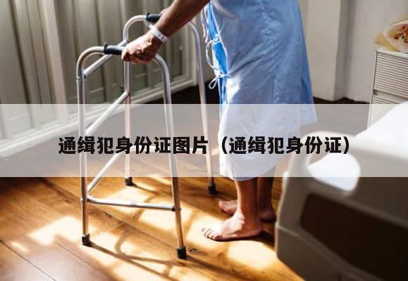 通缉犯身份证图片（通缉犯身份证） 第1张