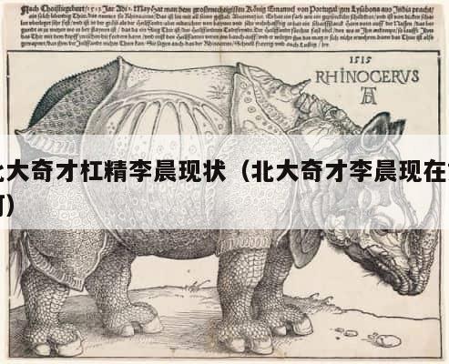 北大奇才杠精李晨现状（北大奇才李晨现在如何） 第1张