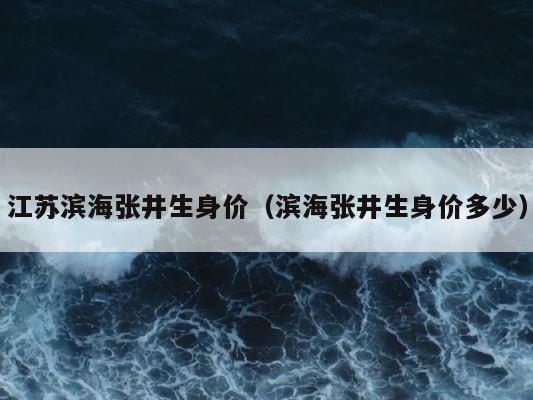 江苏滨海张井生身价（滨海张井生身价多少） 第1张