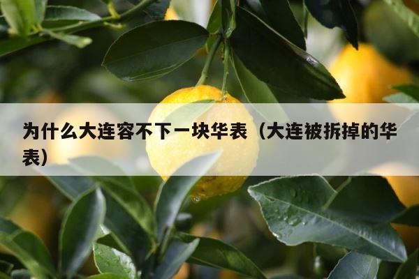 为什么大连容不下一块华表（大连被拆掉的华表） 第1张
