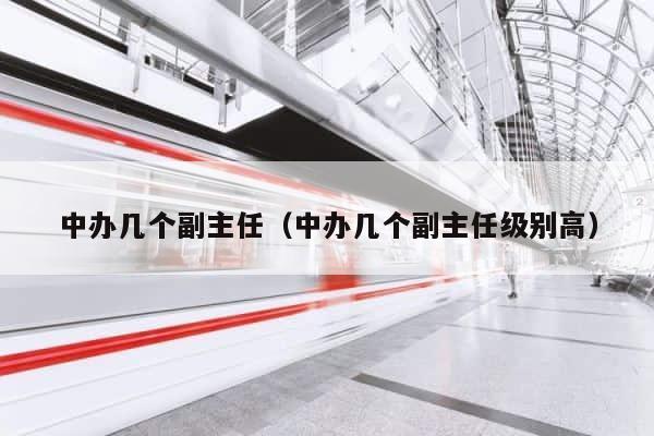 中办几个副主任（中办几个副主任级别高） 第1张