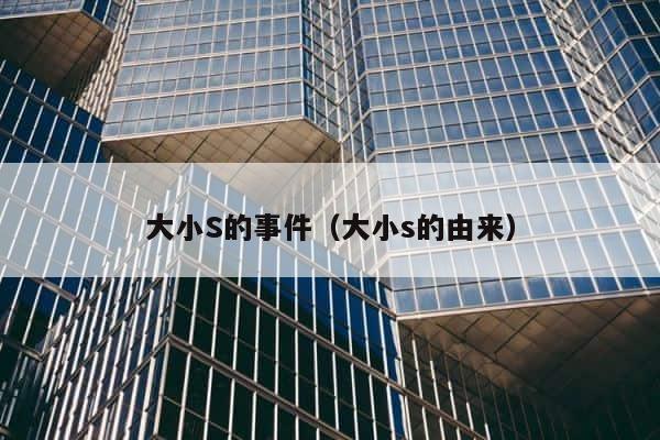 大小S的事件（大小s的由来） 第1张