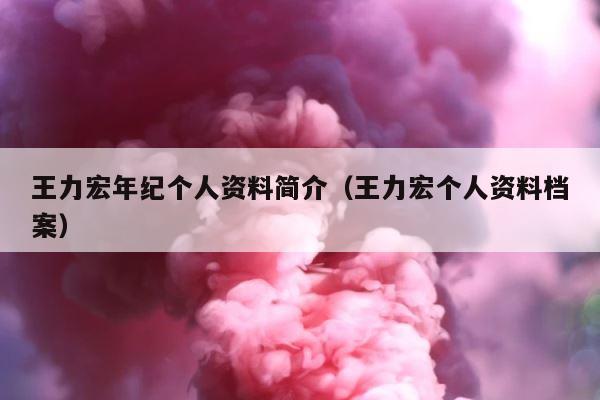 王力宏年纪个人资料简介（王力宏个人资料档案） 第1张