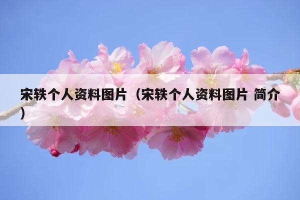 宋轶个人资料图片（宋轶个人资料图片 简介） 第1张
