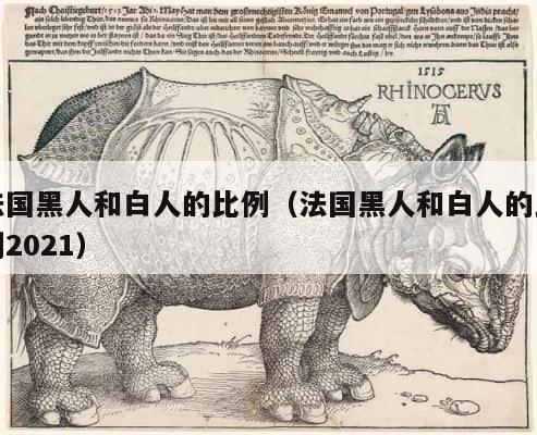 法国黑人和白人的比例（法国黑人和白人的比例2021） 第1张