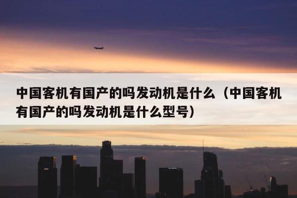 中国客机有国产的吗发动机是什么（中国客机有国产的吗发动机是什么型号） 第1张