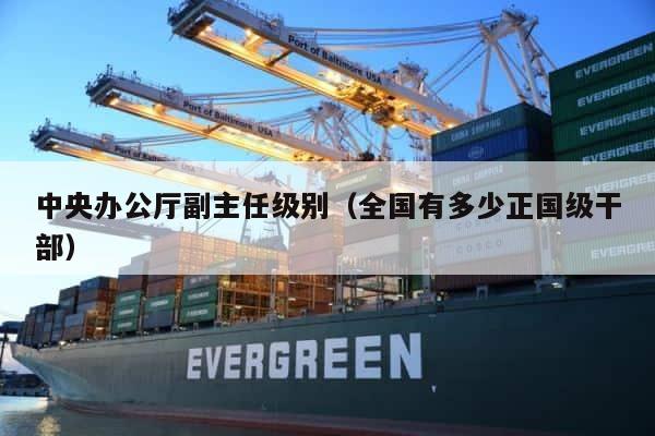 中央办公厅副主任级别（全国有多少正国级干部） 第1张
