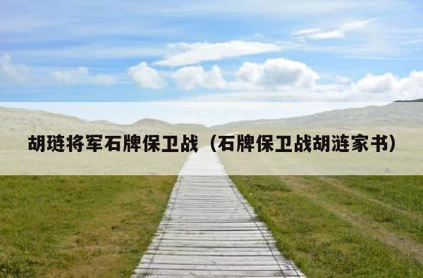 胡琏将军石牌保卫战（石牌保卫战胡涟家书） 第1张