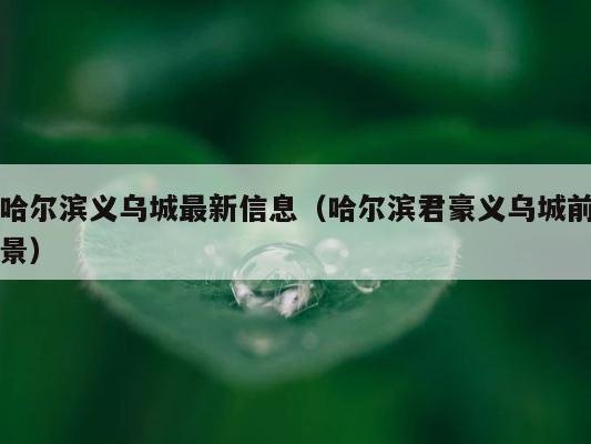 哈尔滨义乌城最新信息（哈尔滨君豪义乌城前景） 第1张