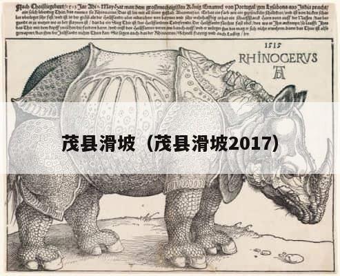 茂县滑坡（茂县滑坡2017） 第1张