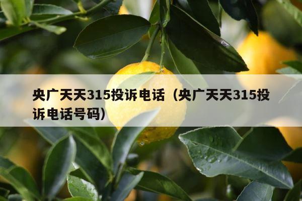 央广天天315投诉电话（央广天天315投诉电话号码） 第1张