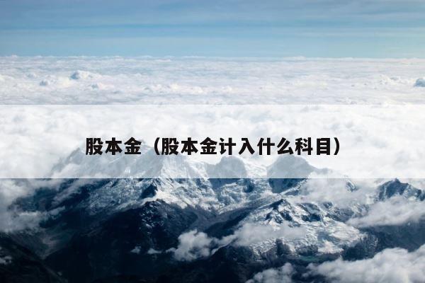 股本金（股本金计入什么科目） 第1张