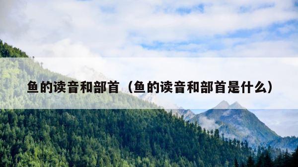 鱼的读音和部首（鱼的读音和部首是什么） 第1张