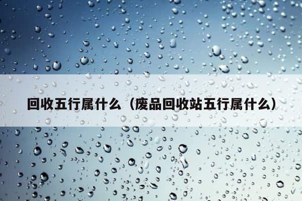 回收五行属什么（废品回收站五行属什么） 第1张