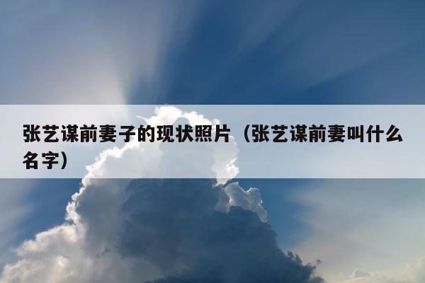 张艺谋前妻子的现状照片（张艺谋前妻叫什么名字） 第1张