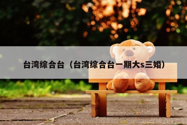 台湾综合台（台湾综合台一期大s三婚） 第1张