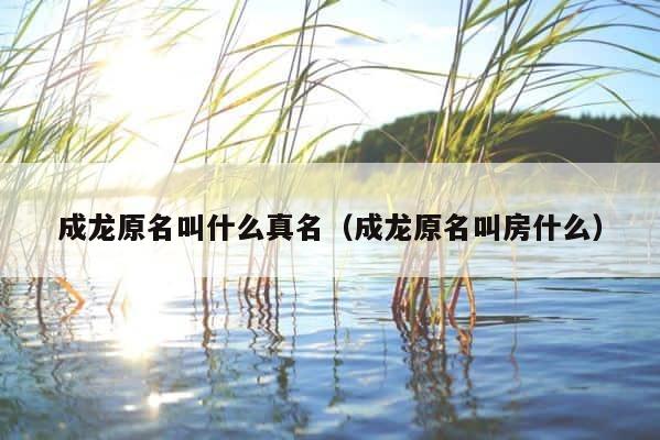 成龙原名叫什么真名（成龙原名叫房什么） 第1张