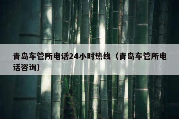青岛车管所电话24小时热线（青岛车管所电话咨询） 第1张