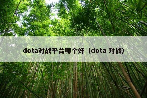 dota对战平台哪个好（dota 对战） 第1张