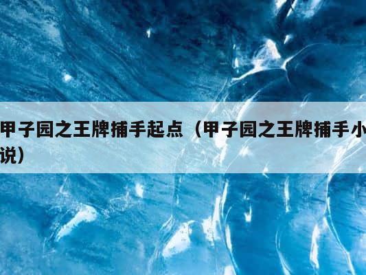 甲子园之王牌捕手起点（甲子园之王牌捕手小说） 第1张