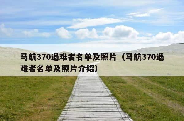 马航370遇难者名单及照片（马航370遇难者名单及照片介绍） 第1张