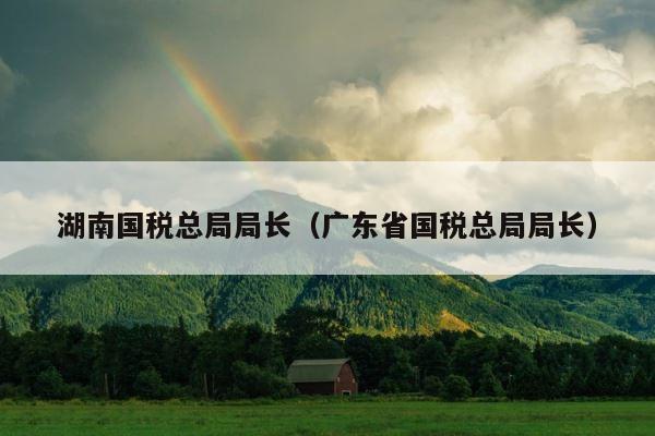 湖南国税总局局长（广东省国税总局局长） 第1张