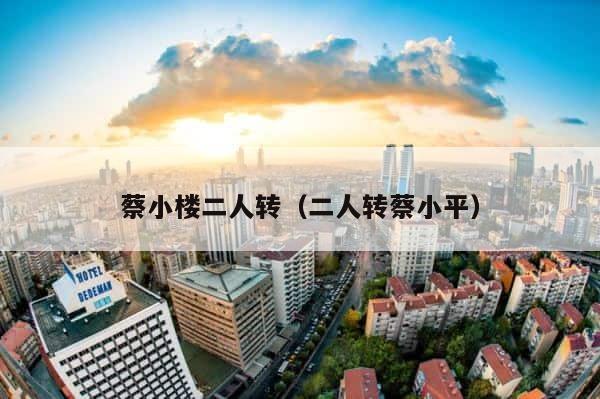 蔡小楼二人转（二人转蔡小平） 第1张