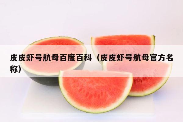 皮皮虾号航母百度百科（皮皮虾号航母官方名称） 第1张