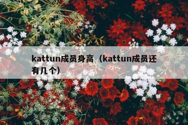 kattun成员身高（kattun成员还有几个） 第1张
