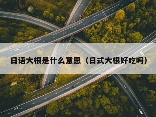 日语大根是什么意思（日式大根好吃吗） 第1张