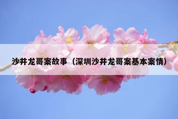 沙井龙哥案故事（深圳沙井龙哥案基本案情） 第1张