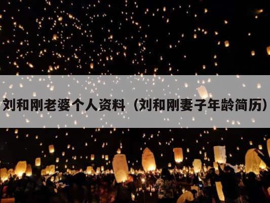 刘和刚老婆个人资料（刘和刚妻子年龄简历） 第1张