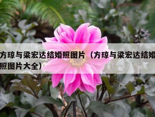 方琼与梁宏达结婚照图片（方琼与梁宏达结婚照图片大全） 第1张