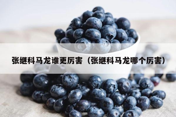 张继科马龙谁更厉害（张继科马龙哪个厉害） 第1张
