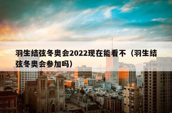 羽生结弦冬奥会2022现在能看不（羽生结弦冬奥会参加吗） 第1张