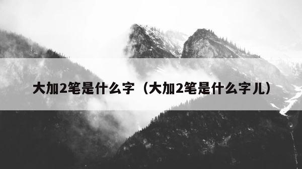 大加2笔是什么字（大加2笔是什么字儿） 第1张