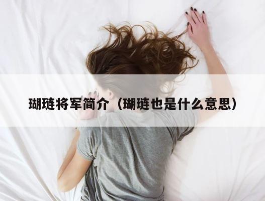 瑚琏将军简介（瑚琏也是什么意思） 第1张