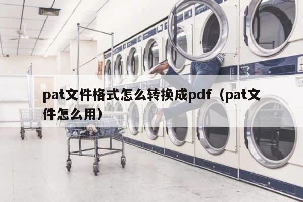 pat文件格式怎么转换成pdf（pat文件怎么用） 第1张