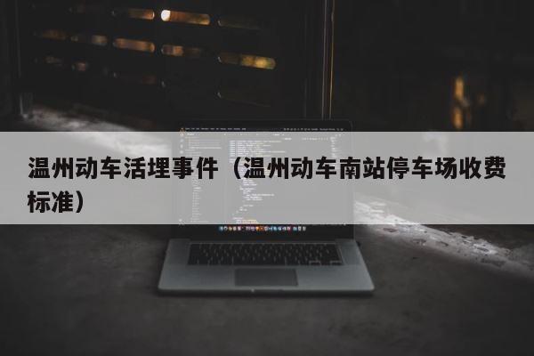温州动车活埋事件（温州动车南站停车场收费标准） 第1张