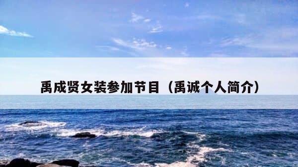 禹成贤女装参加节目（禹诚个人简介） 第1张