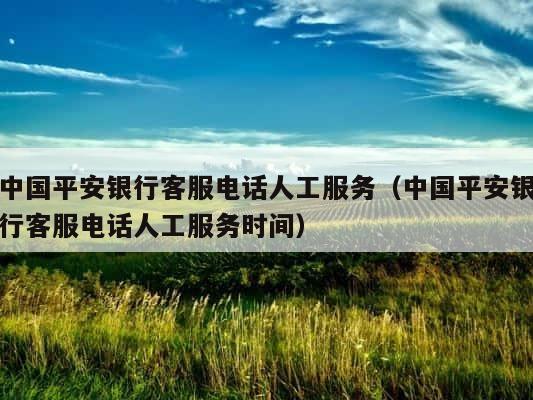 中国平安银行客服电话人工服务（中国平安银行客服电话人工服务时间） 第1张