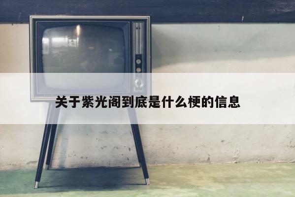 关于紫光阁到底是什么梗的信息 第1张